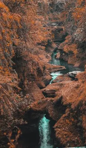 Waterfall plunging into a rocky gorge