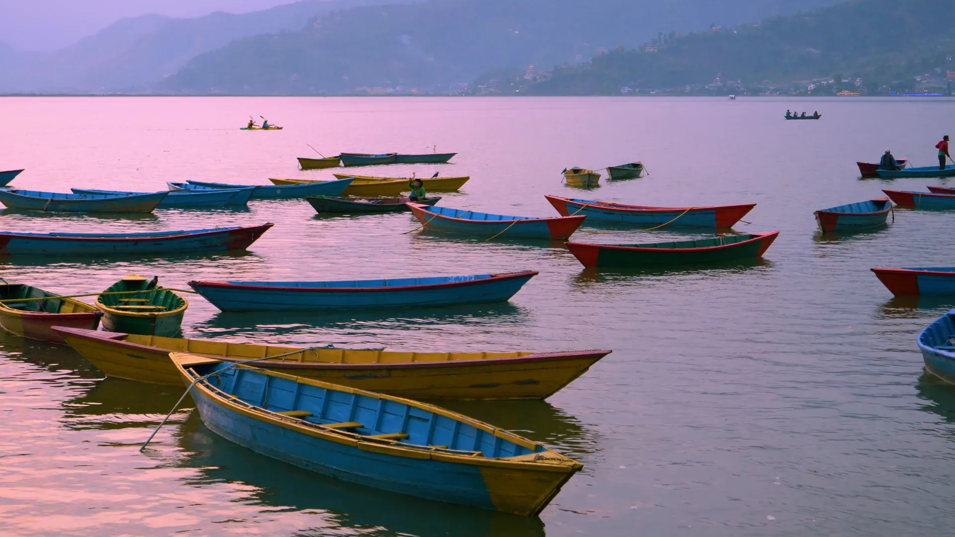 Colourful rowing boats on Phewa Lake at dusk