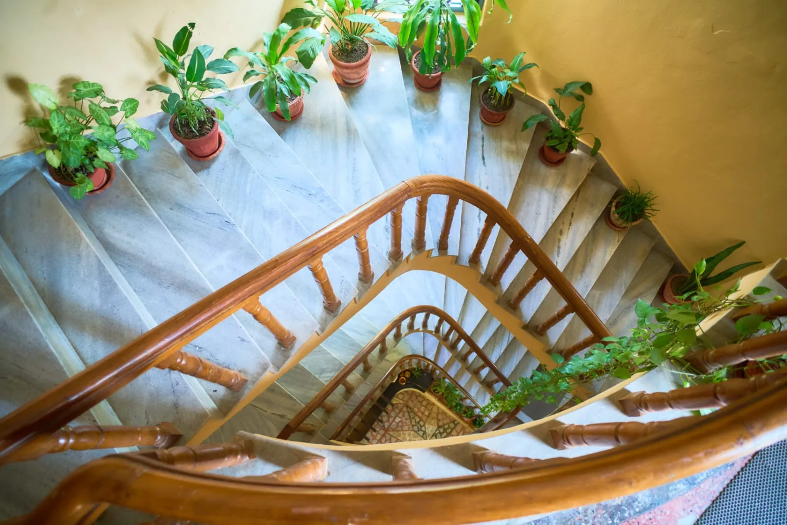 The plant-lined staircase at The Silver Oaks Inn, Pokhara